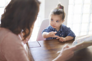 Child custody mediation